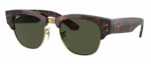 Ray-Ban RB0316S