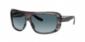 Ray-Ban RB2196