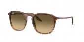 Ray-Ban RB2203