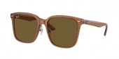 Ray-Ban RB2206D