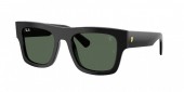 Ray-Ban RB2217M