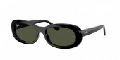 Ray-Ban RB2221F