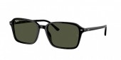 Ray-Ban RB2231 Raimond