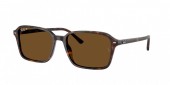 Ray-Ban RB2231F Raimond