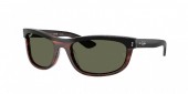 Ray-Ban RB2489