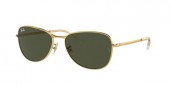 Ray-Ban RB3733