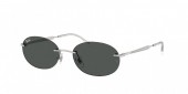 Ray-Ban RB3767