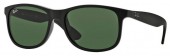 Ray-Ban RB4202 ANDY
