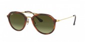Ray-Ban RB4253