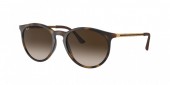 Ray-Ban RB4274