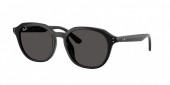 Ray-Ban RB4459D