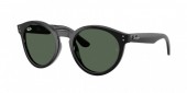 Ray-Ban RBR0505S