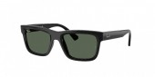 Ray-Ban RJ9196S