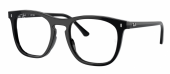 Ray-Ban RX2210V