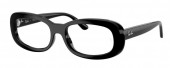 Ray-Ban RX2221V