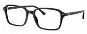 Ray-Ban RX5431